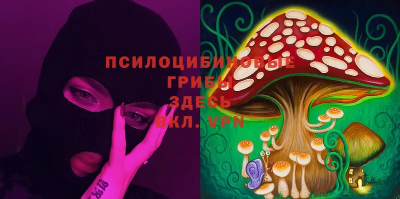 Галлюциногенные грибы Cubensis  Кущёвская 