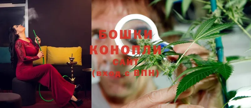 Шишки марихуана OG Kush  Кущёвская 